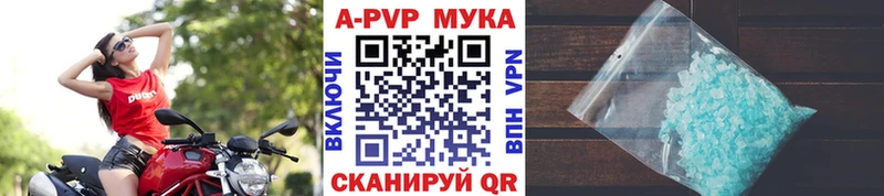 APVP СК Солигалич
