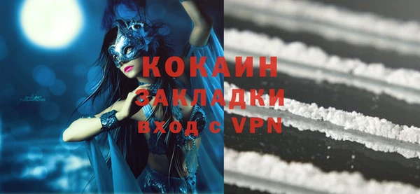 индика Аркадак