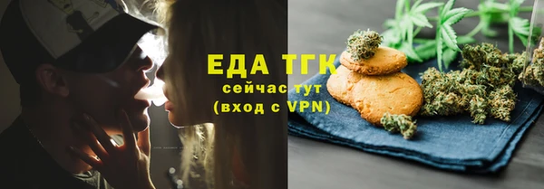 индика Аркадак