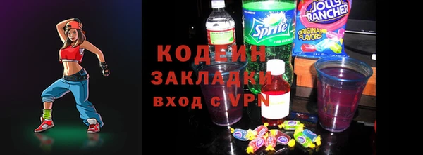 индика Аркадак