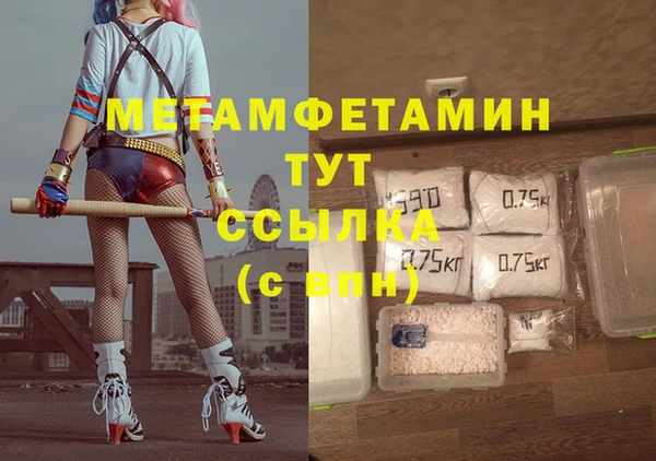 индика Аркадак