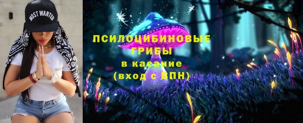 соль ск Арсеньев