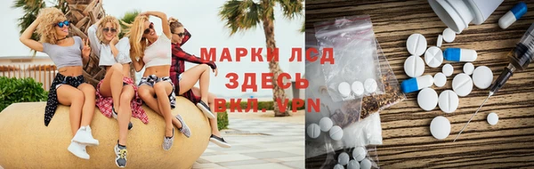 индика Аркадак