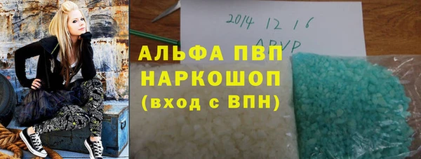 индика Аркадак
