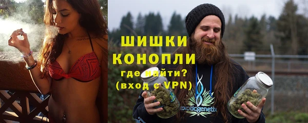 соль ск Арсеньев