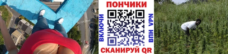 МАРИХУАНА OG Kush  Солигалич 